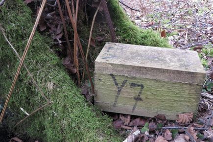 Wooden box in woods