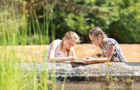 Two young girls looking at bugs outdoors