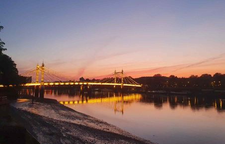 Albert Bridge at night