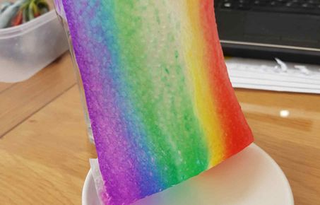 Growing rainbow experiment with kitchen paper
