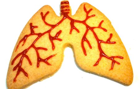 Lung shaped biscuits