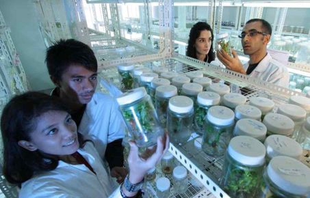 People in research lab looking at jars