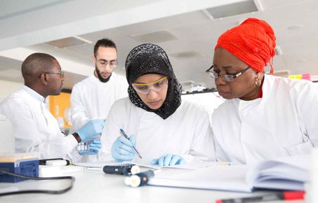 Group of students working in a laboratory