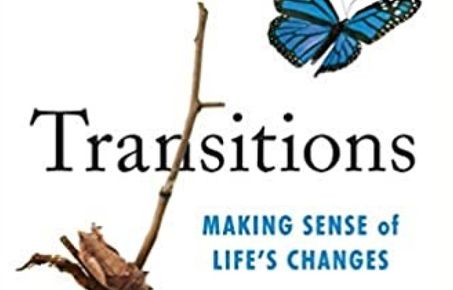 picture of butterfly with the words transitions