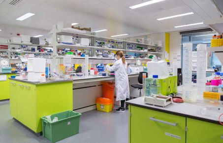 A file image of a laboratory