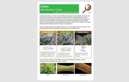 air survey lichen guide