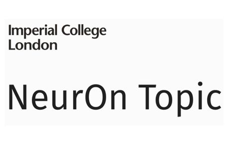 IC Neuron Topic