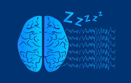 Sleep and circadian group icon