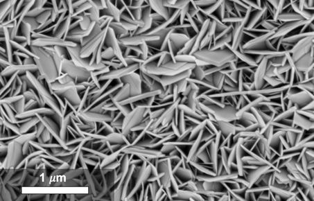 Scanning electron microscopy image of BiOI