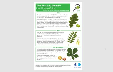 tree pests and diseases id guide