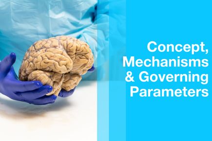 Close up of human brain, researcher holding brain in lab with nitrile gloves and lab coat on