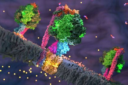 Membrane biology theme