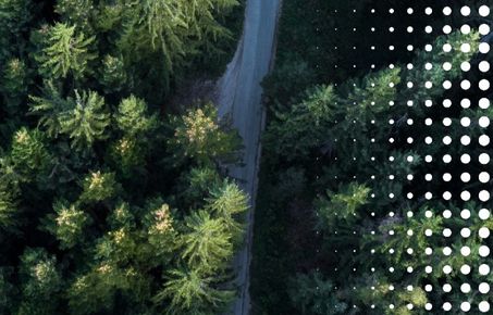 Forest from above and circular pattern