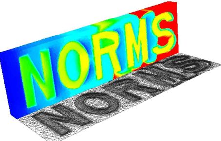 norms