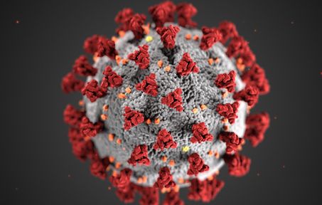 Coronavirus 