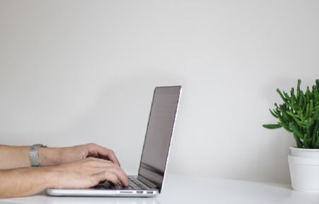 Hands working on a laptop on a table with a plant