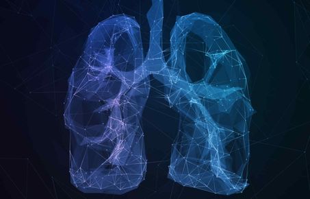 Abstract image of human lungs