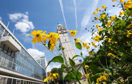 Flowers in front of the Queen's Tower