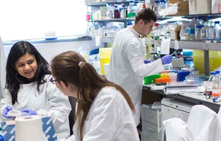 Masters students in the lab