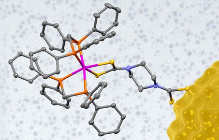 Synthesis and Catalysis