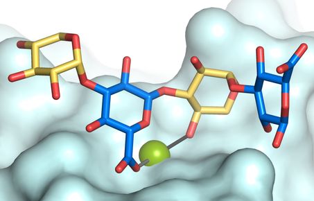 Molecular mechanisms of disease