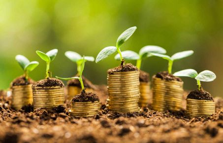 piles of coins with green shoots growing over them