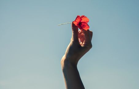 hand holding flower in the sky