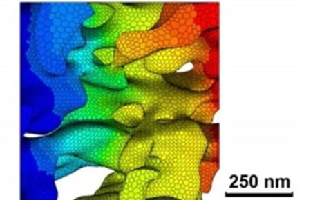 3D tomography and imaging