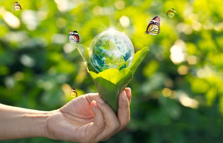 Photo of a hand holding a leaf wrapped a round a droplet of water resembling the Earth