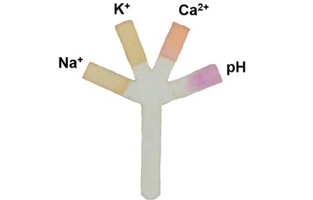 Microfluidic paper sensor