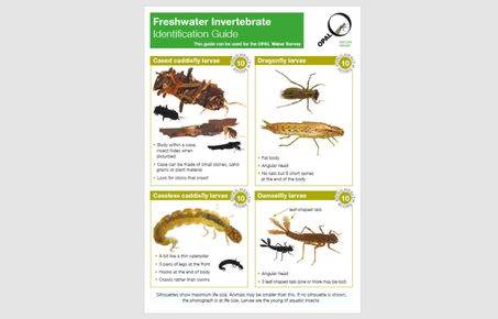 water survey id guide