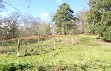 Rookery slope plots