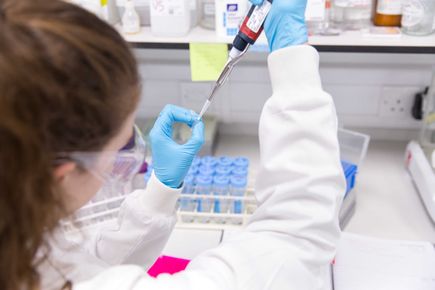 A student working in the lab