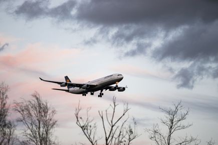 A plane coming in to land, with wintry tree branches silhouetted in the foreground, and a cold cloudy sky in the background