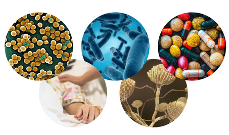 AMR grants and projects