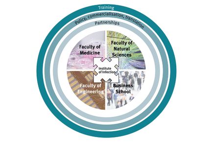 Schematic with faculties in the middle and impact circles around. Institute of infection bringing them together.