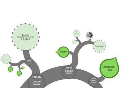 The Tree of Life