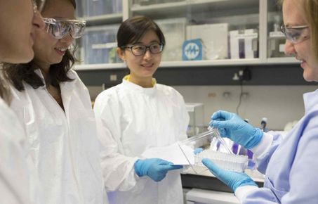 Teaching in the lab