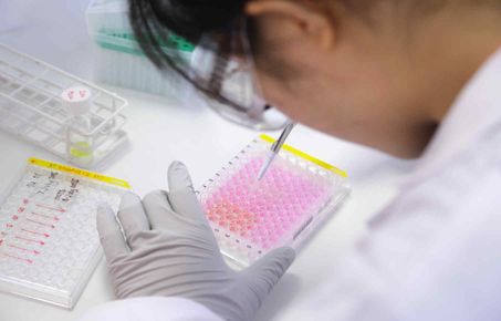 PhD Opportunities