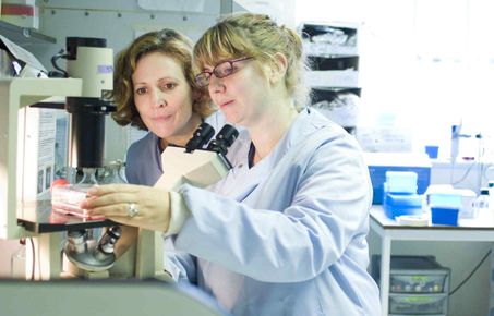 Molecular Virology