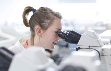 MRes Experimental Neuroscience