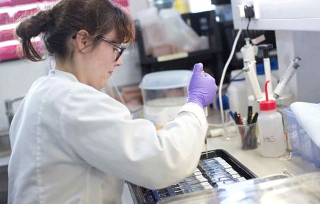 MSc Molecular Medicine