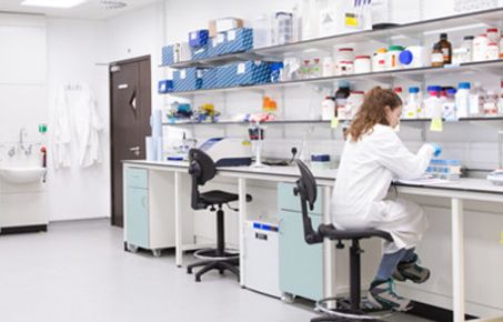 Student working in laboratory 