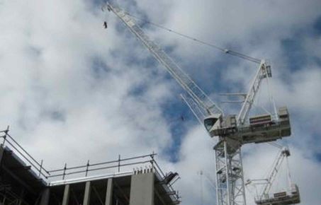 Cranes