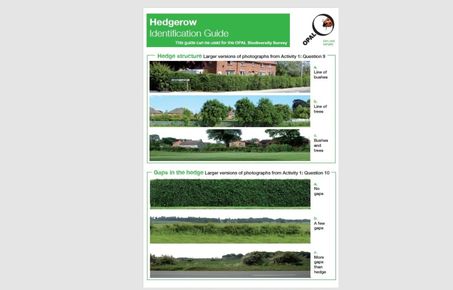hedgerow guide