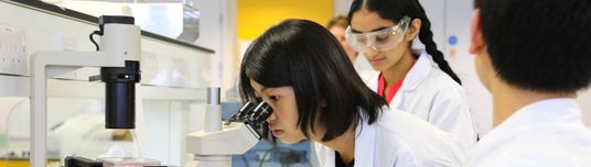 Fees and funding | Faculty of Medicine | Imperial College London