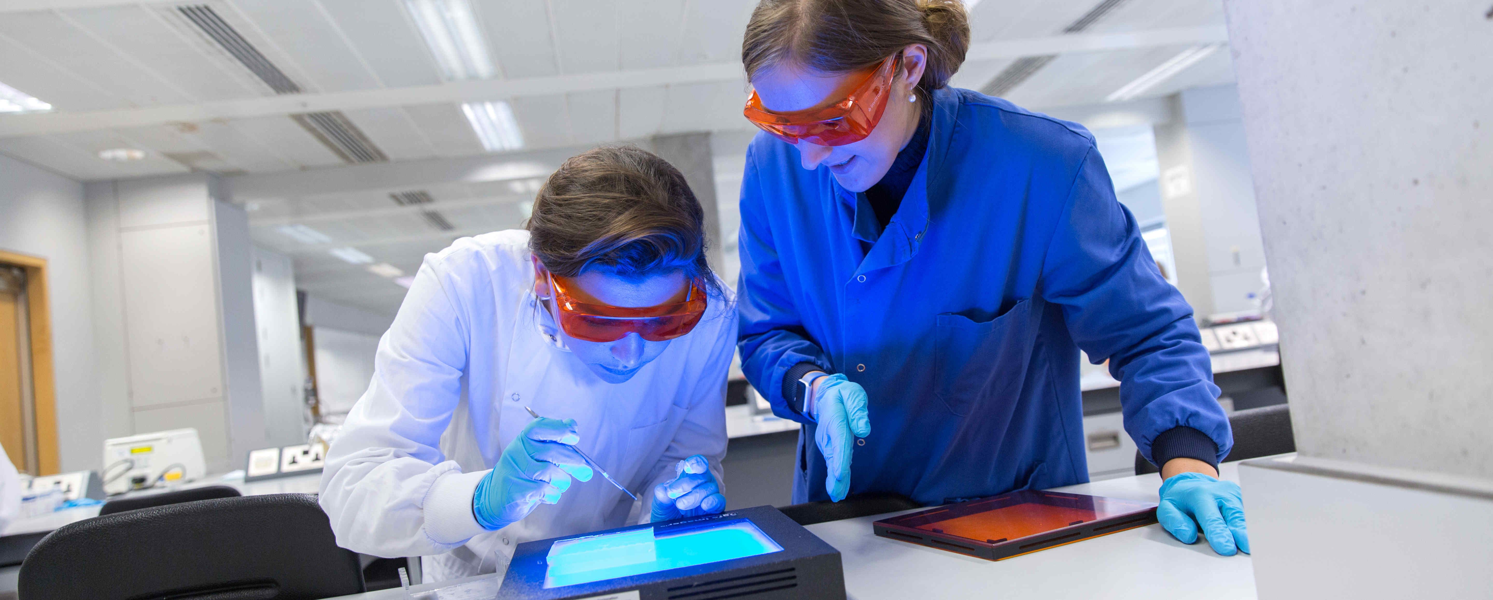 Biological Sciences