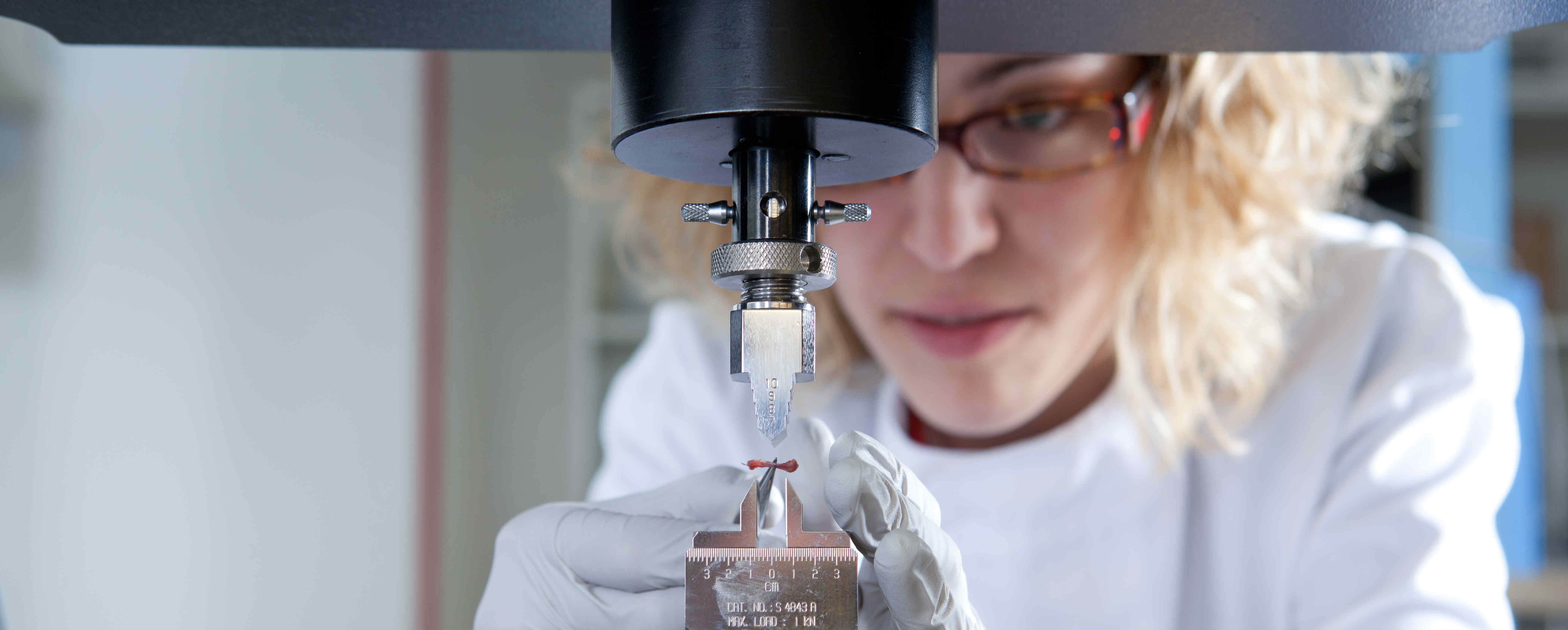 Molecular Bioengineering