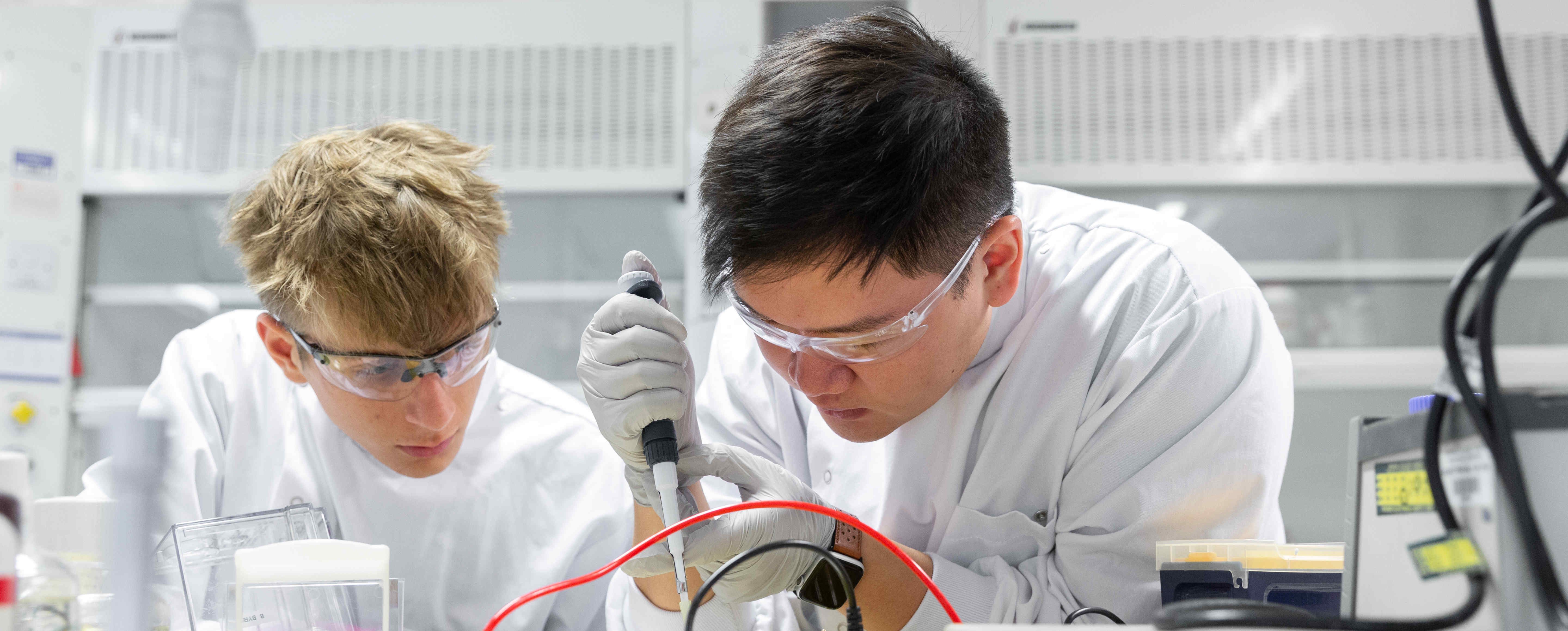 Students working in bioengineering lab