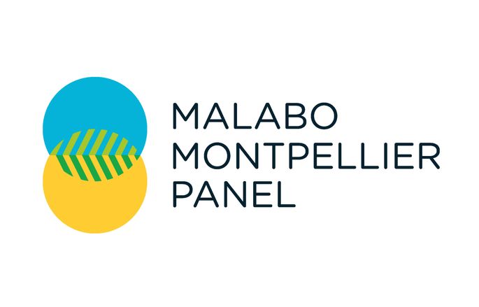 Malabo Montpellier Panel logo